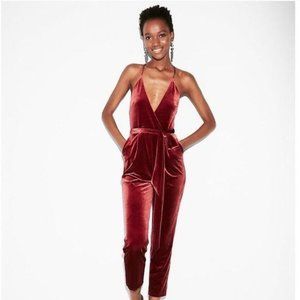 Express Velvet Jumpsuit Maroon Size 4